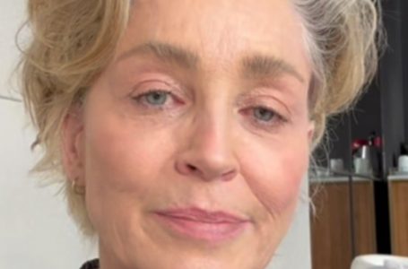 ”The Actress Had Been Hiding Them For a Long Time”: What Do Sharon Stone’s Grown-Up Children Look Like Today?