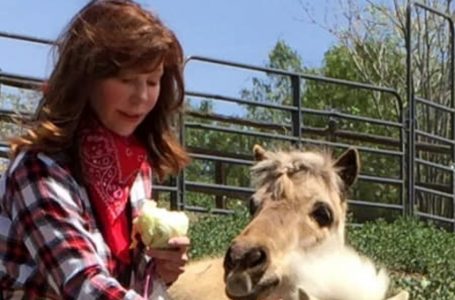 “She Gave Up Her Career to Live on a Ranch Caring For Animals At 74”: Who Is This Hollywood Star Who Changed Her Life?