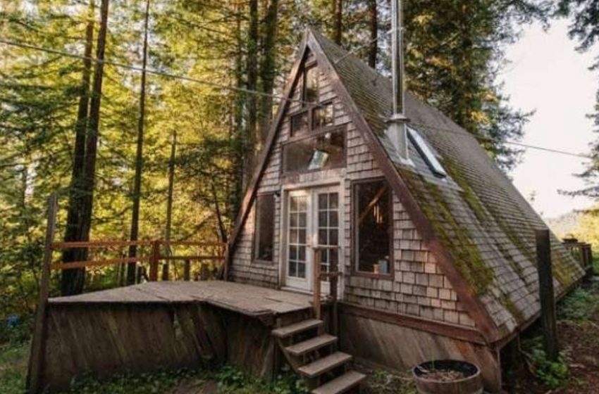  “Is This Just a Roof in the Forest?”: What Does This Unique Home Look  Like Inside?