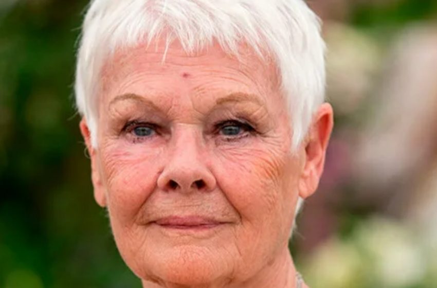  Judi Dench Wasn’t Depressed After Losing Her Husband Of 30 Years: She Found New Love At 76!