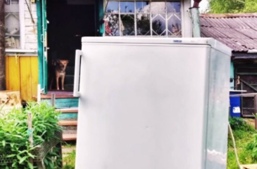  Don’t Toss an Old Fridge: Transform It Into Something Amazing For Your Summer House!