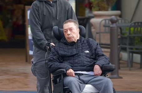 “The Actor In a Wheelchair Was Brought Out To The Red Carpet”: People Were Stunned To Know Who He Is!