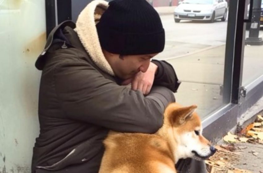  Heartbreaking Moment: Abandoned Dog Visits Closed Store Daily—Her Story Will Move You!