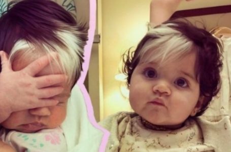 Gray-Haired Since Birth: Meet the Girl with the Most Unusual Appearance!