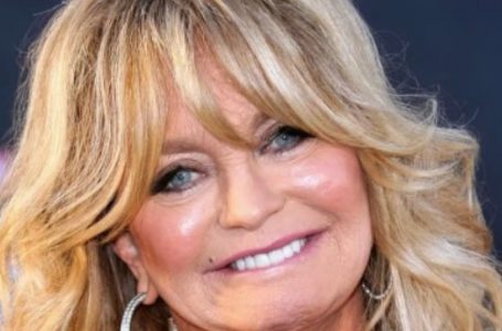 Goldie Hawn Recreates Her Iconic 1989 Oscars Look with the Same Man by Her Side!: What Did They Look Like?