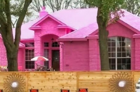 This Man Painted His Entire House Bright Pink And His Neighbors Are Fuming!: See the Full Transformation!