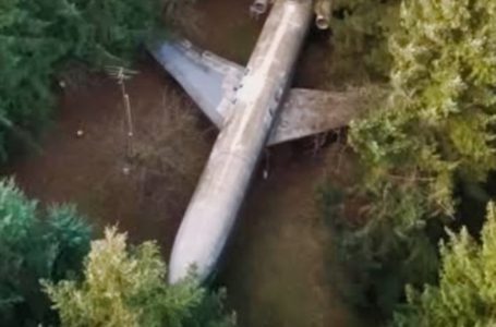 The Man Turned an Old Airplane Into a Dream Home : You Have To See The Inside!