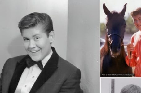 Teen Heartthrob Turned Singing Legend Lost His Fortune but Found True Love That Never Left His Side!: Who Is He?