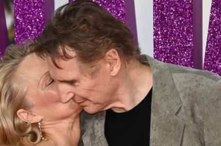 Pamela Anderson and Liam Neeson Ignite Romance Rumors!: See the Photos That Have Everyone Talking!