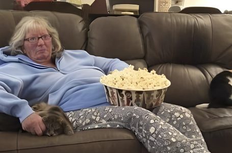 I Asked My 64-Year-Old Mom to Babysit!: Then She Surprised Me by Asking for Money!