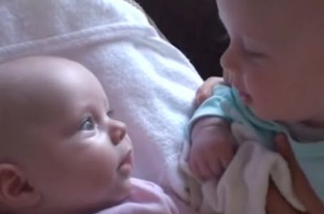 Twin Babies’ First “Chat” Is Melting Hearts Everywhere!: See The Full Video!