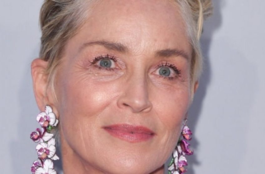Sharon Stone Flaunts Her Stunning Figure in Swimsuits in Her 60’s! : Fans Are in Awe!