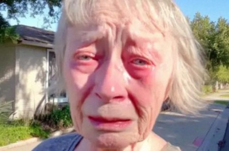 I Sold My House for My Granddaughter’s Dream Wedding!: When She Banned Me, I Taught Her a Lesson She’ll Never Forget!