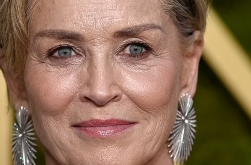 Sharon Stone’s Adopted Son Roan, 25, Stuns Fans with Twin-Like Resemblance on Rare Red Carpet Appearance!: See The Photos!
