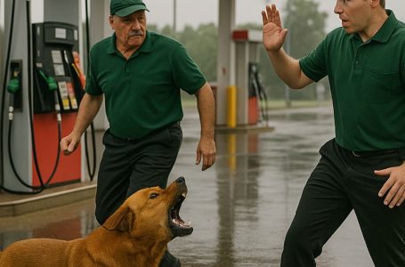 A red-haired dog appeared at a gas station, barking loudly at the staff: something terrifying happened, revealing the reason for its strange behavior!