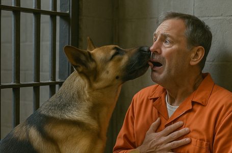 A prisoner’s final wish was to see his dog one last time — but the moment the animal stepped into the cell, something unexpected happened.