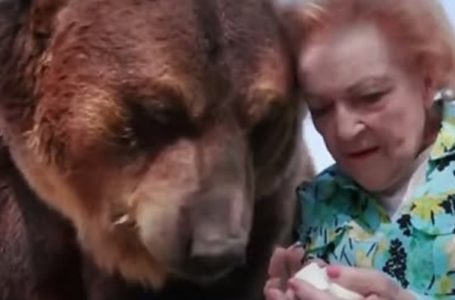 Remembering Betty White: The Actress Who Once Kissed a Giant Grizzly!