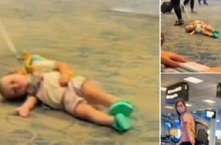Mom Sparks Outrage for Using a Leash on Her Toddler at the Airport!: Watch the Video!