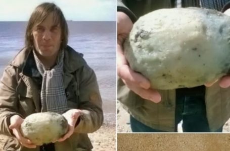 Couple Discovers a ‘Common Stone’ That Turns Out to Be an Astonishingly Valuable Treasure!: Find Out The Details!