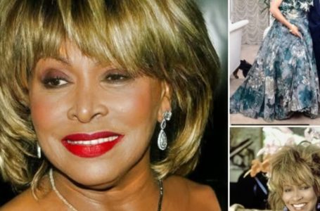 Tina Turner, 73, Marries Her Second Husband After 25 Years Together!: See Their Beautiful Photos!