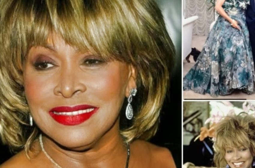  Tina Turner, 73, Marries Her Second Husband After 25 Years Together!: See Their Beautiful Photos!