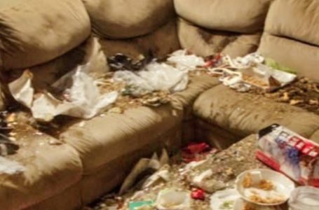 My Sister Ruined My House During Her Son’s Birthday!: Here’s How I Cut Ties