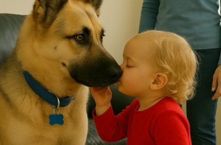 The little girl kissed the dog who had become her closest friend. What the dog did in response made her mother’s heart stop.