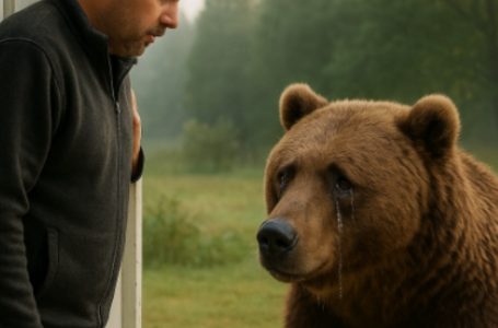 A mother bear laid her cub at my feet. What happened next is impossible to forget.