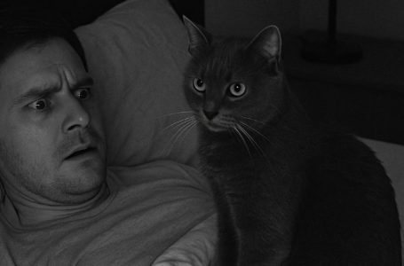 My cat started acting strange at night, so I set up a camera. What I saw in the recording left me speechless.