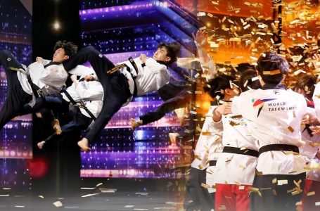 Power‑packed Martial‑Arts Spectacle!: Precision Strikes & Teamwork Left Judges Speechless!