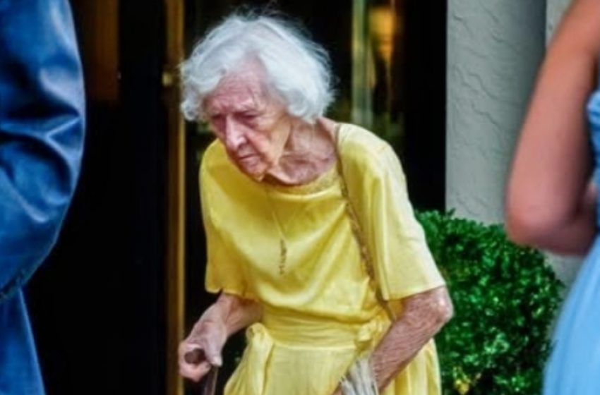 I Threw My Grandma Out of My Wedding Over a Dirty Bag of Walnuts!: Two Days After Her Death, Opening It Left Me Speechless!