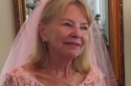 My Daughter-in-Law Laughed at My Pink Wedding Dress!: But My Son’s Reaction Left Her Speechless!