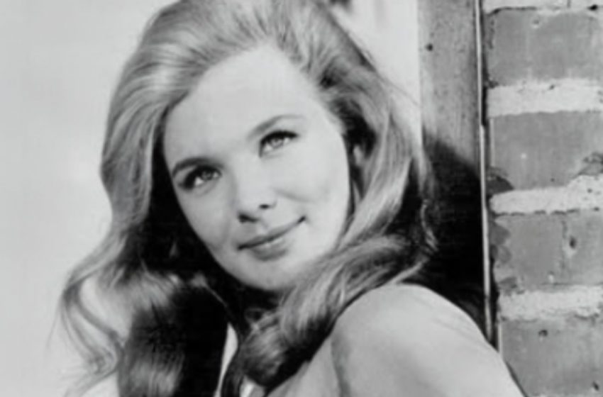 82 and Still Captivating the World: Can You Recognize This Timeless Hollywood Legend?