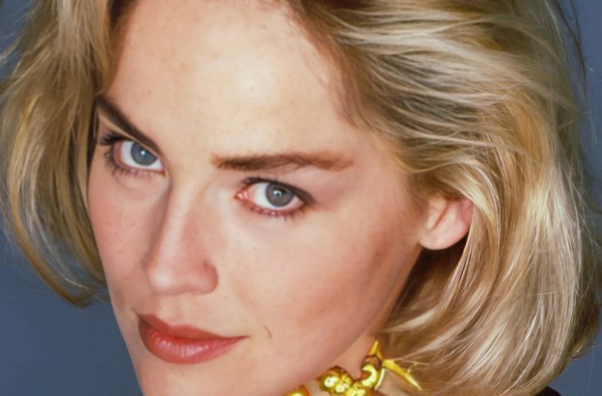 Sharon Stone Shows Her Natural Beauty And Sparks a Wave of Reactions!: See The Photos!