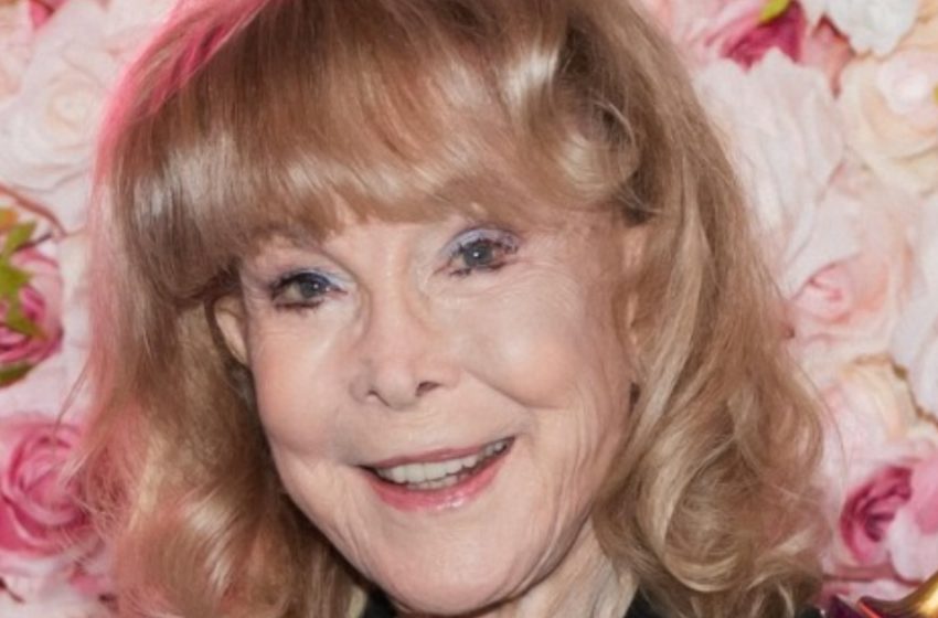  Barbara Eden at 94: Celebrating 60 Glorious Years of an Iconic Career and Timeless Stardom!