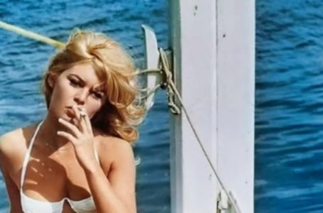 âIâm Not Going to Leave This Worldâ: 91-Year-Old Brigitte Bardot Breaks Her Silence and Still Shines as a Legendary French Cinema Icon!