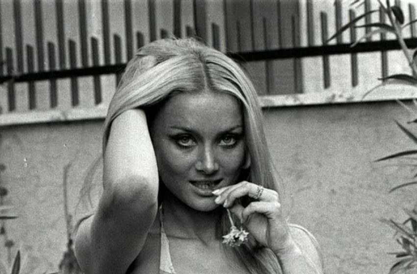  Cinema’s Hidden Gem Who Became a Legendary Star!: Can You Guess Who She Is?