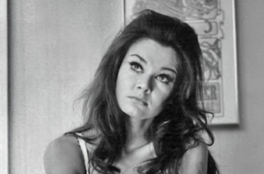 The Star Who Burned Bright, Loved Deeply, and Vanished Too Soon!: Who Is She?