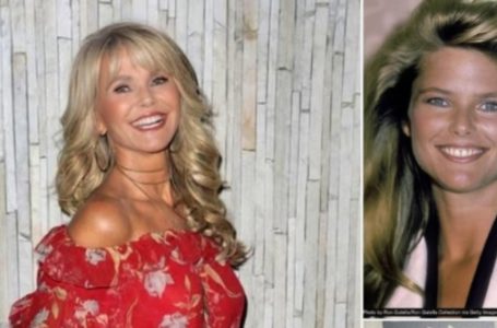 Christie Brinkley, 71, Wows Fans With Iconic Throwback Topless Photo!: See The Photos!