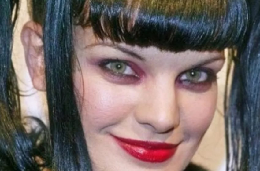 Pauley Perrette Then and Now!: The Beloved NCIS Star Who Transformed Beyond the Spotlight