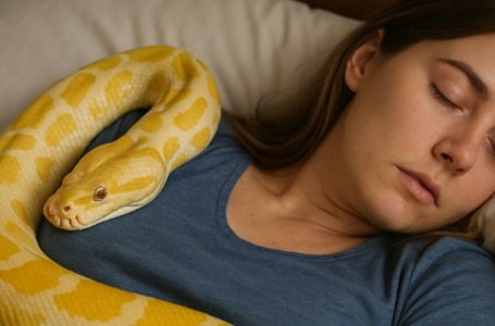 The young woman kept a huge python at home, but one day it began acting strangely — it stopped eating and wrapped itself around her waist. Later, she learned something terrifying about it.