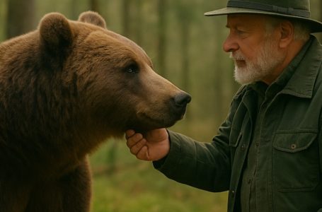 A mother bear saved a newborn baby — repaying a forest ranger for saving her own cub. A story that touched even the coldest of hearts