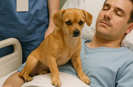 Doctors made the decision to take a young police officer off life support. But as his loyal dog came to say goodbye, something happened — a miracle no one could believe