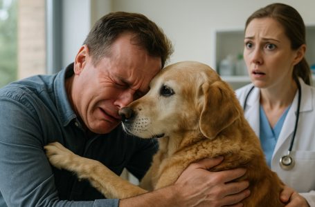 He asked for a few minutes to say goodbye to his dying dog — and then the veterinarian noticed something incredible