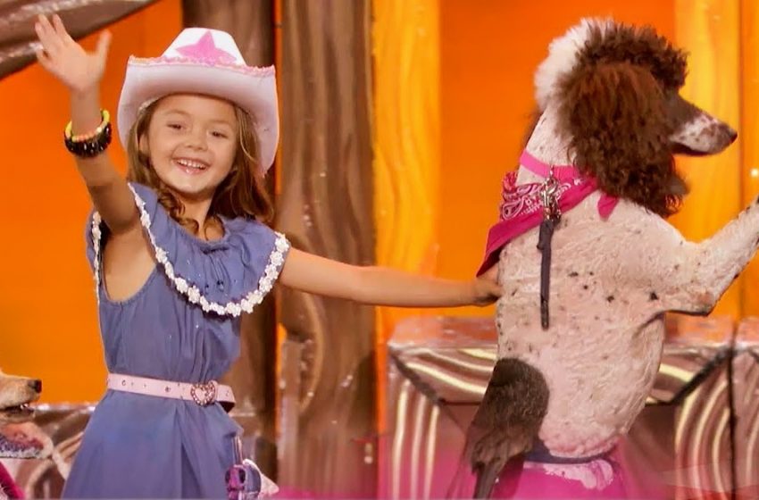  Amazing AGT Animal Show: Dogs, Chickens & More Steal the Spotlight with Incredible Tricks!